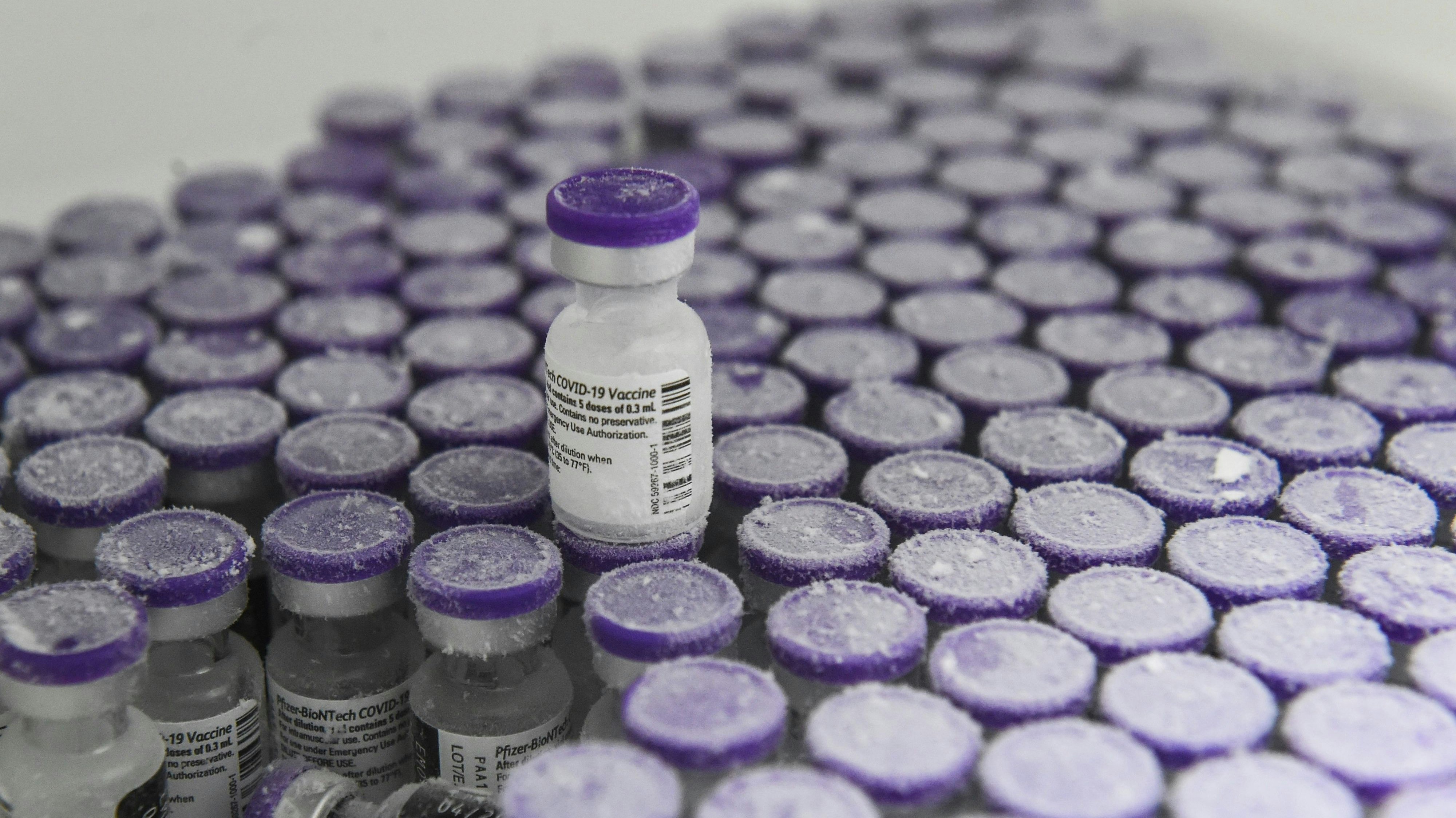 Der Impfstoff von Biontech/Pfizer