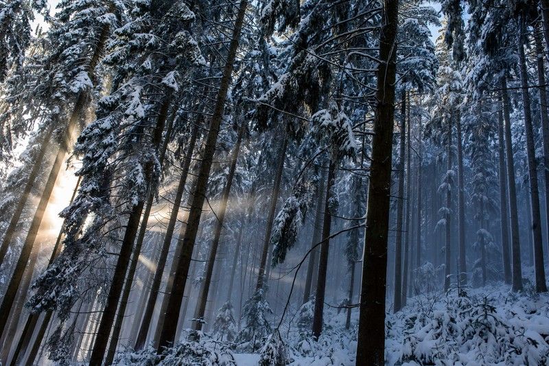 Für die 60-Jährige kam jede Hilfe zu spät