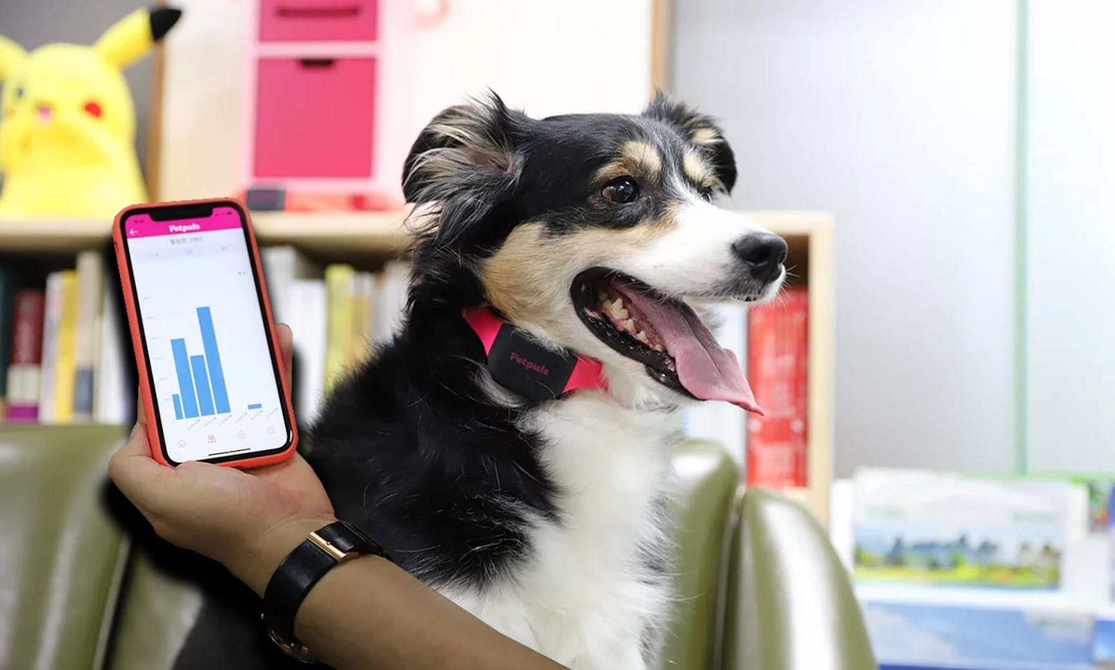 Mit dem Halsband und der dazugehörigen App von "Petpuls" aus Korea soll man jetzt die Gefühlswelt der Hunde angezeigt bekommen. 