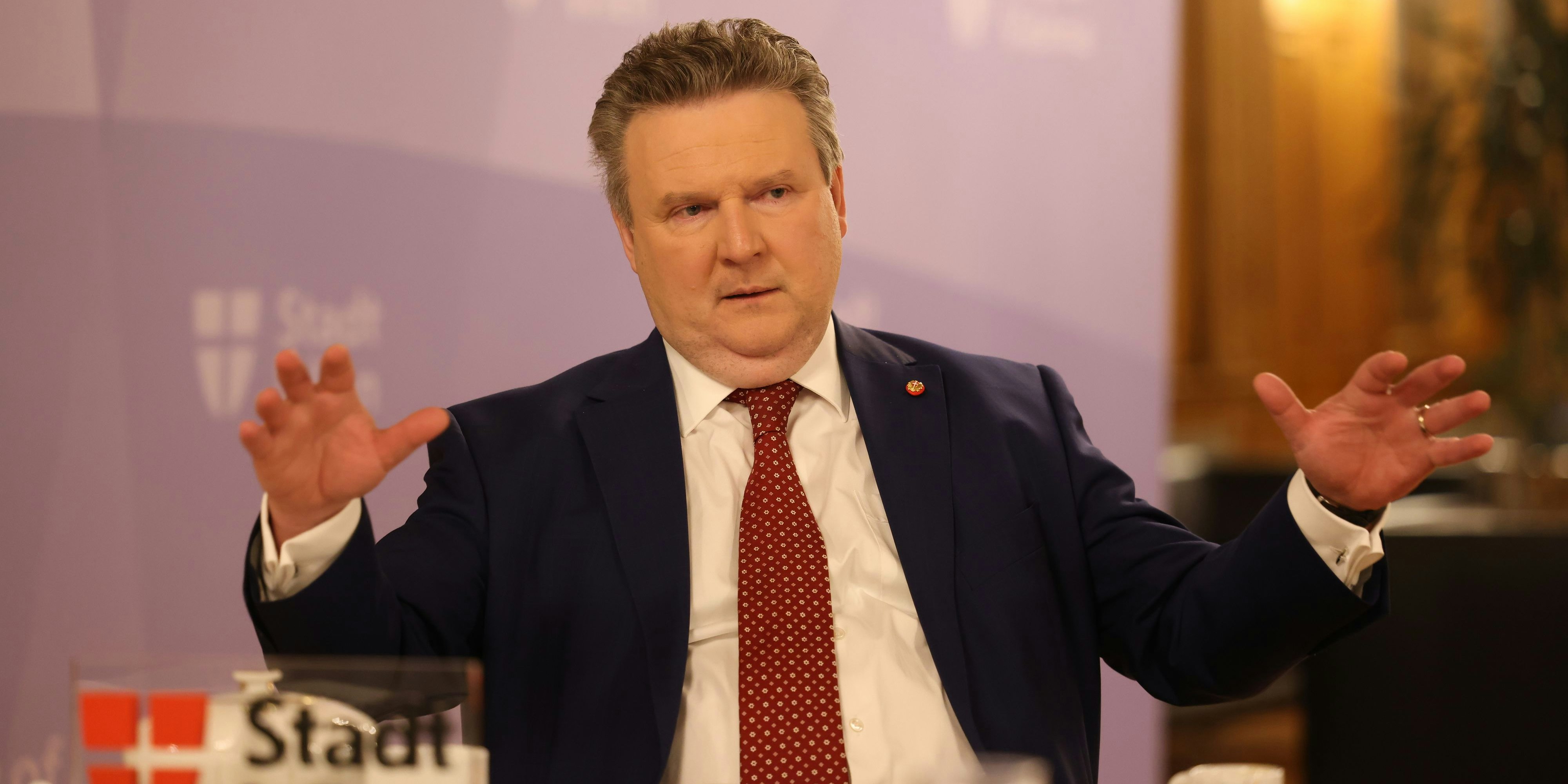 Bürgermeister Michael Ludwig
