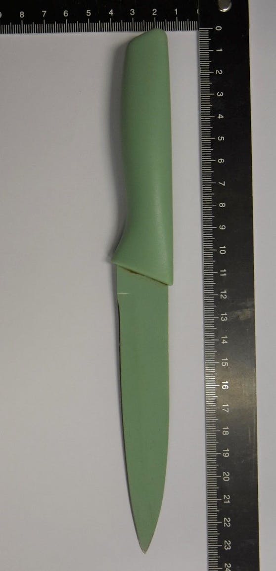 Mit diesem Messer attackierte der Jugendliche den 48-jährigen Freund seiner Mutter