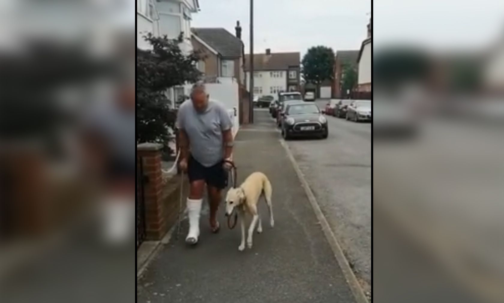 Rüde "Bill" erklärte sich solidarisch zum hinkenden Herrchen. 