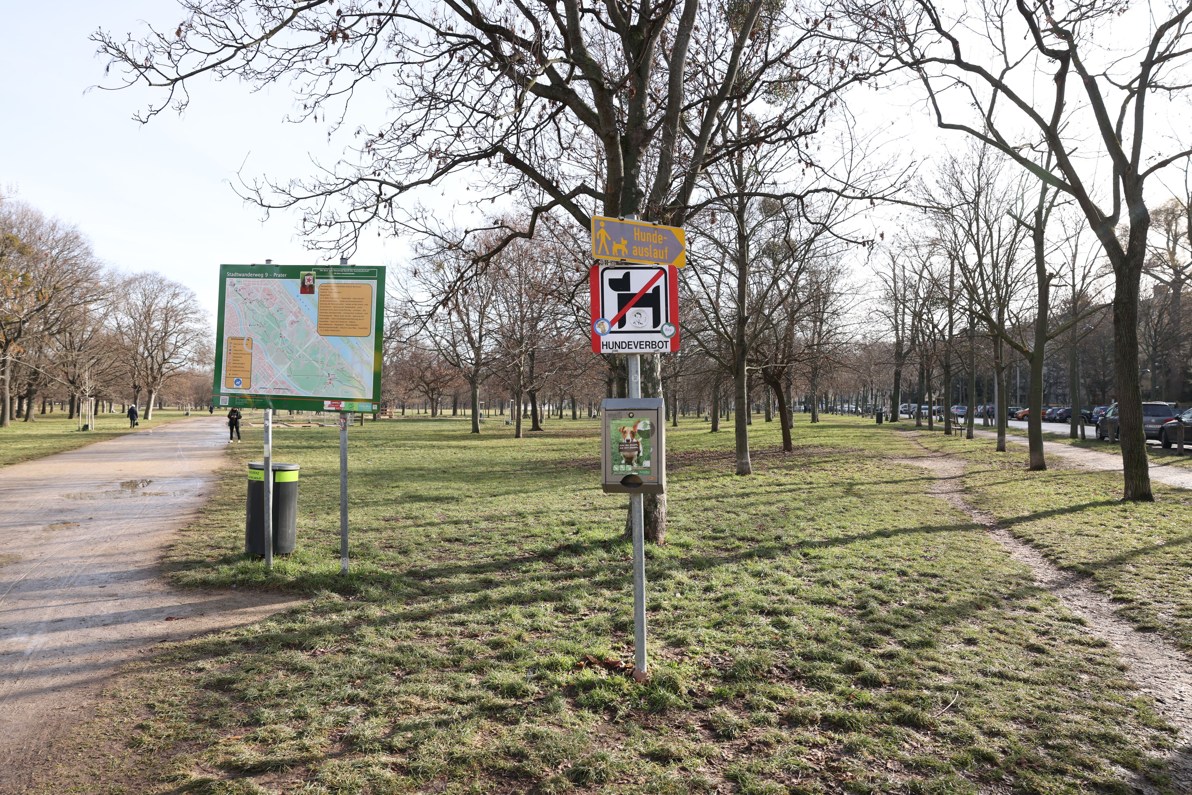 Der Verfassungsgerichtshof gab einer Beschwerdeführerin Recht und hob die Hundeverbotszone bei der Jesuitenwiese in der Leopoldstadt als gesetzeswidrig auf.