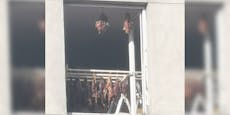 Wiener trocknet mysteriöse Fleischstücke am Balkon