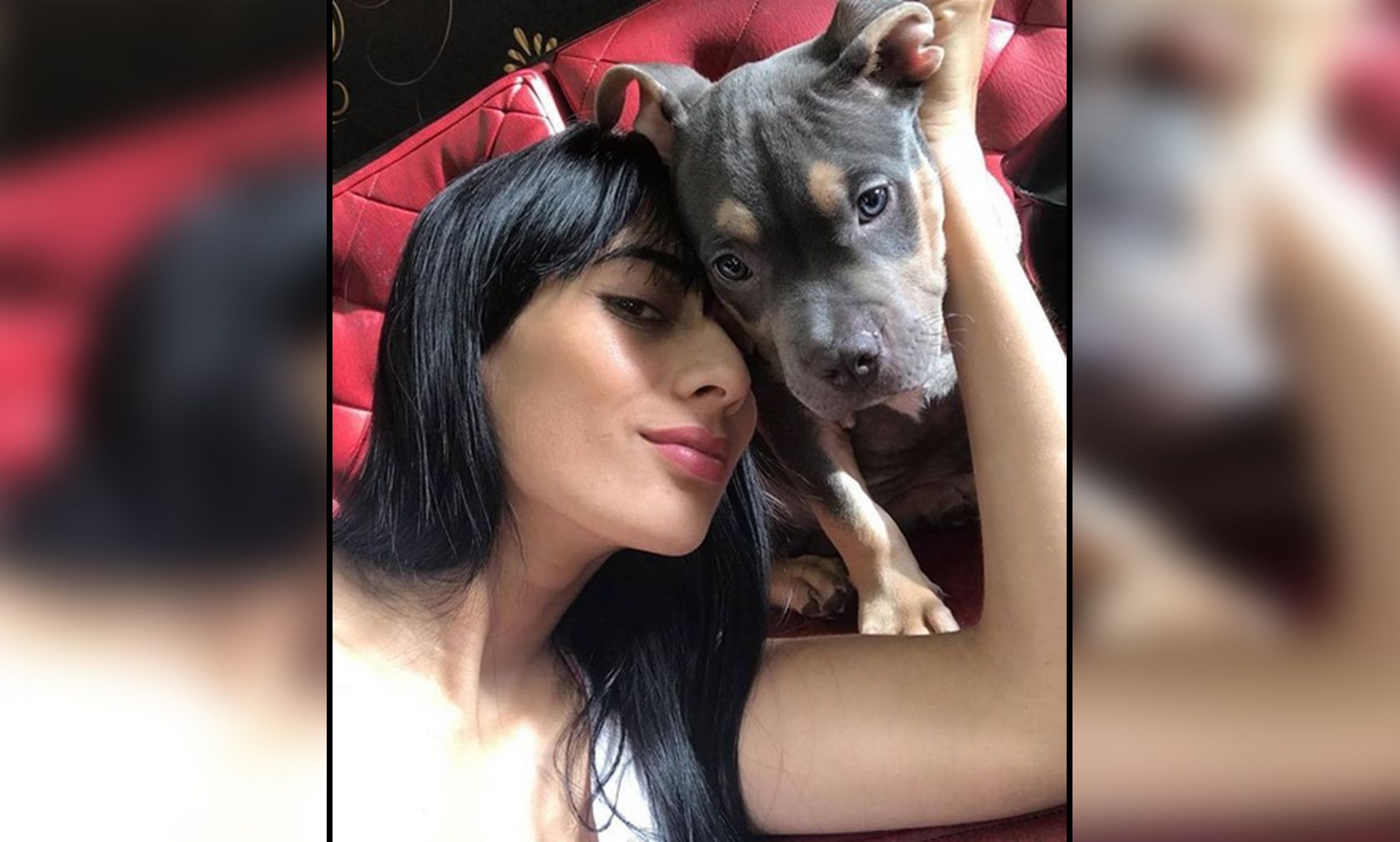 Die Kolumbianerin Maria Fernanda Echeverry fand den leblosen Welpen zwischen diverser Koffer. 