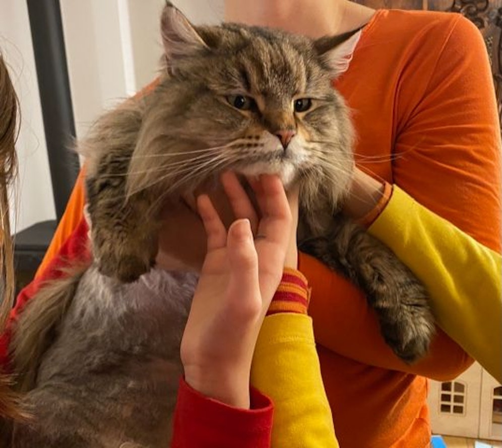 Katze Friedi mit den glücklichen Kindern