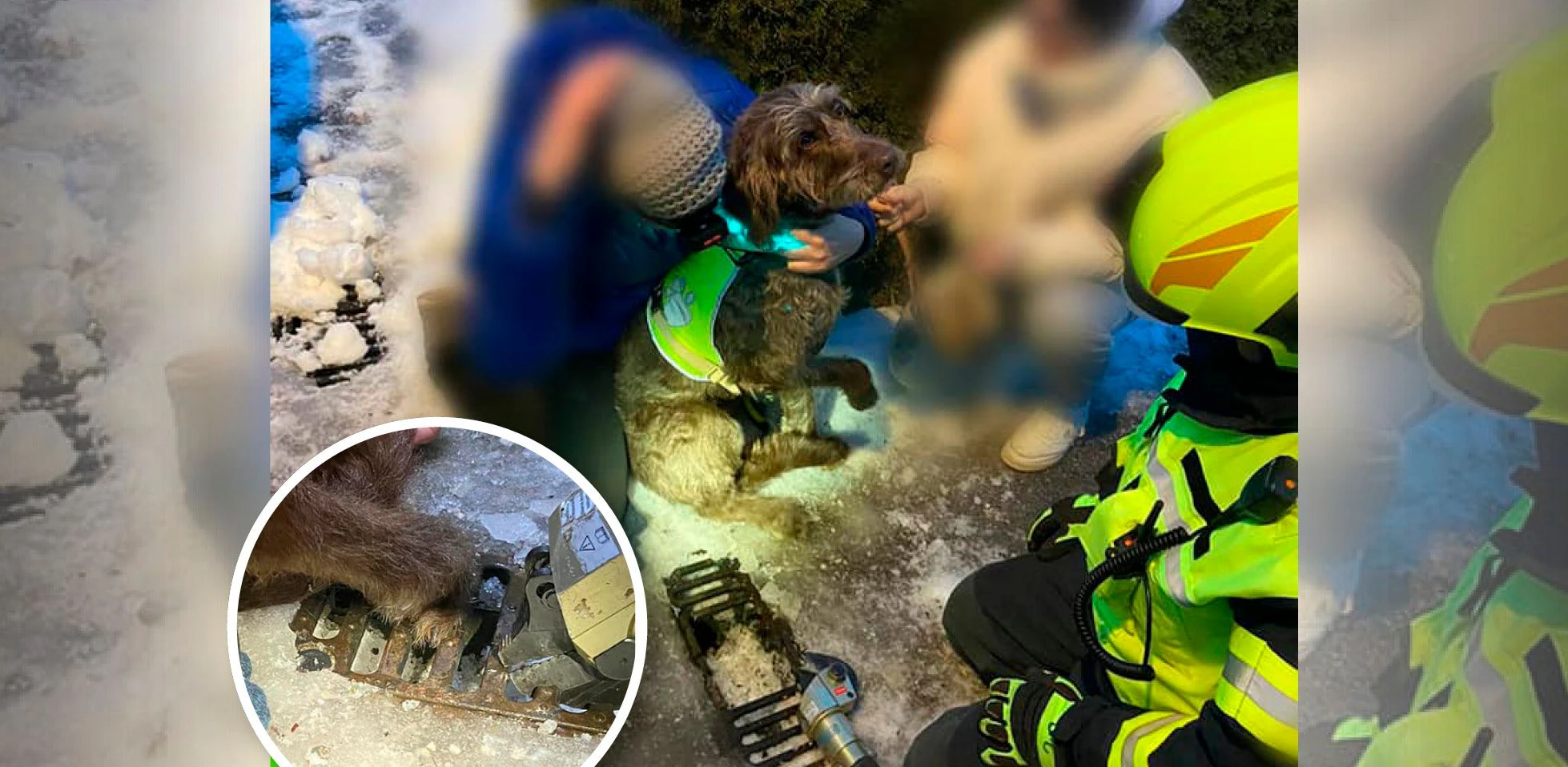 Die Feuerwehr konnte den Hund unversehrt befreien.