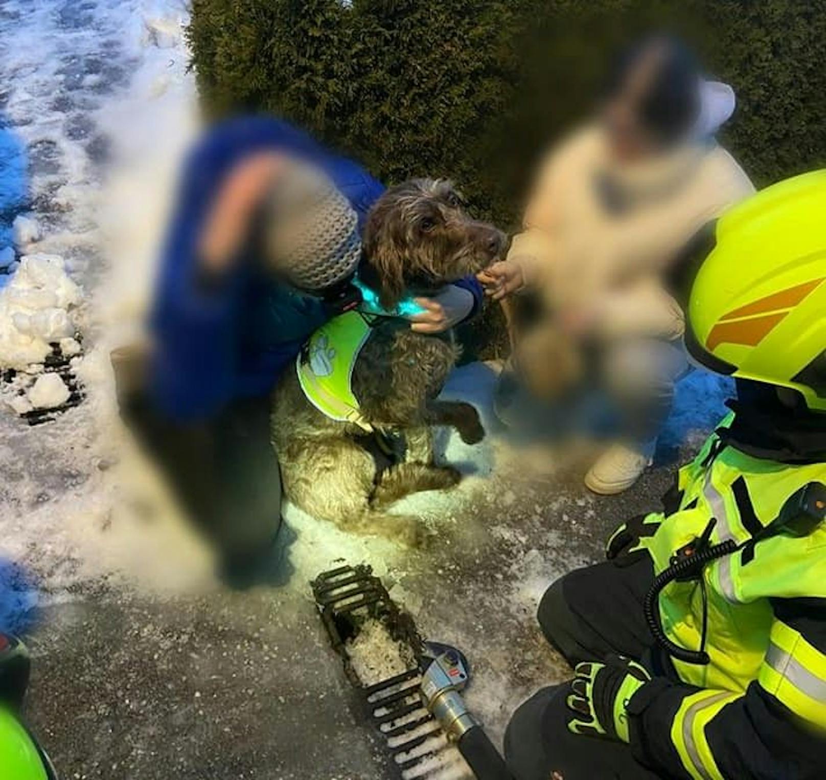 Nach der Rettung konnte der Hund an seine Besitzerin übergeben werden.