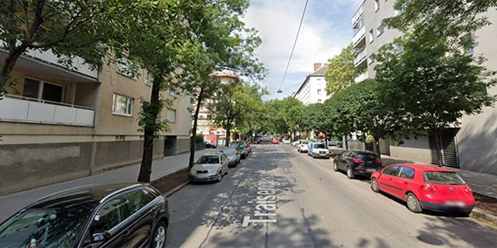 In der Traisengasse in Wien-Brigittenau kam es zu dem Vorfall.