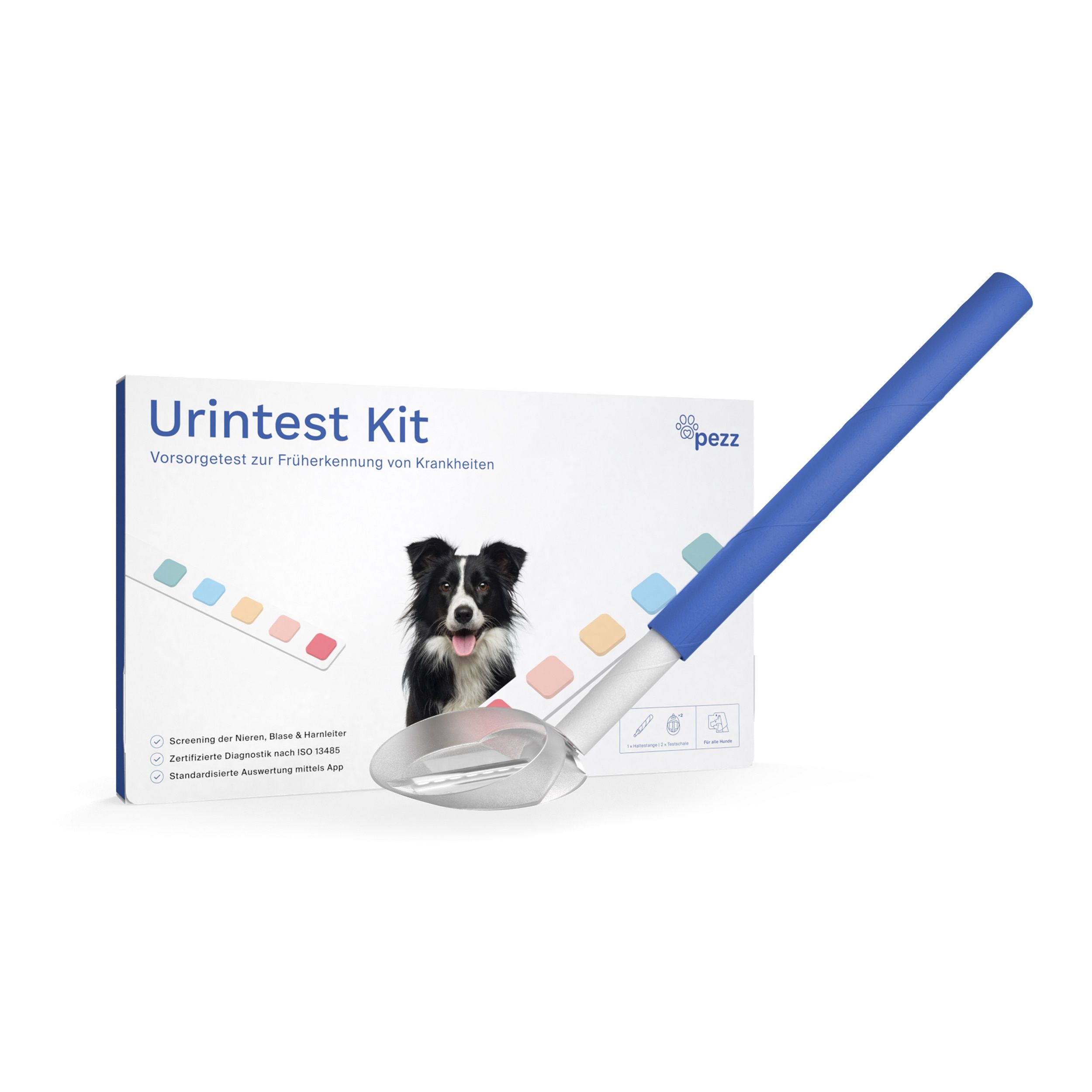 Start-up Pezz life überzeugte bei "2 Minuten 2 Millionen".