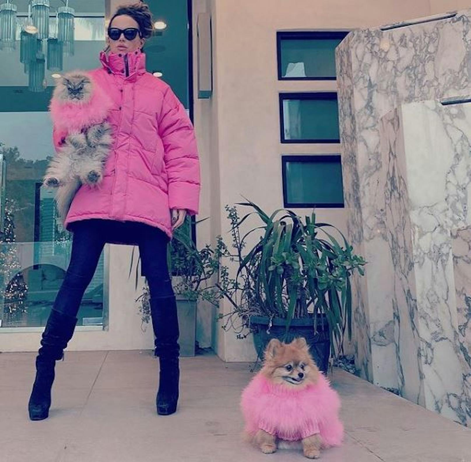 Pretty in Pink! Kate Beckinsale, Katze Clive und Hund Myf posieren im Partnerlook. Ob ihre Haustiere das auch so toll finden?