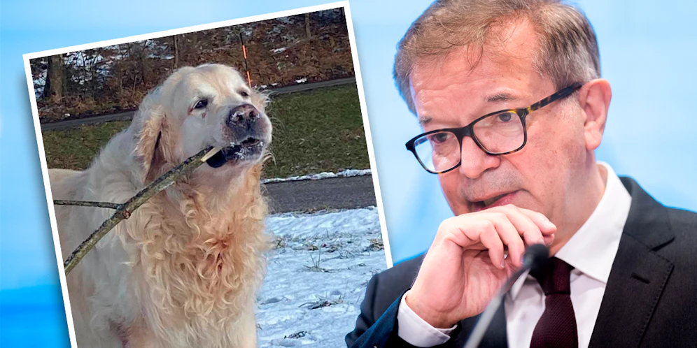 Rudolf Anschober und Golden Retriever 