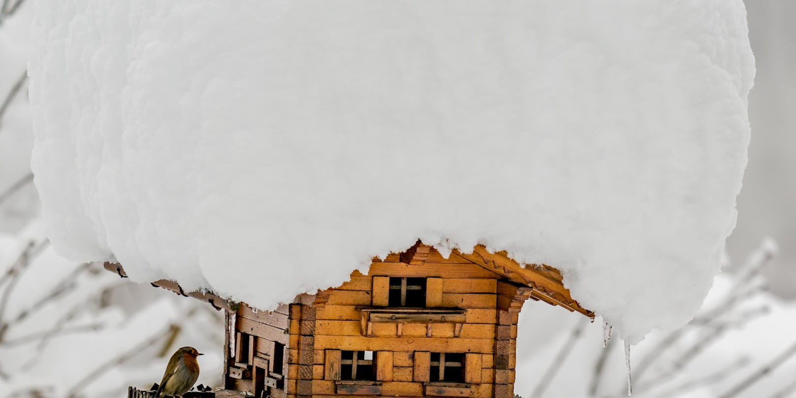 Die ungewöhnlich großen Neuschneemengen in Vorarlberg haben auch am 15. Jänner 2021 weiter Probleme verursacht. Im Bild: Ein mit Schnee bedecktes Vogelhaus in Hohenems