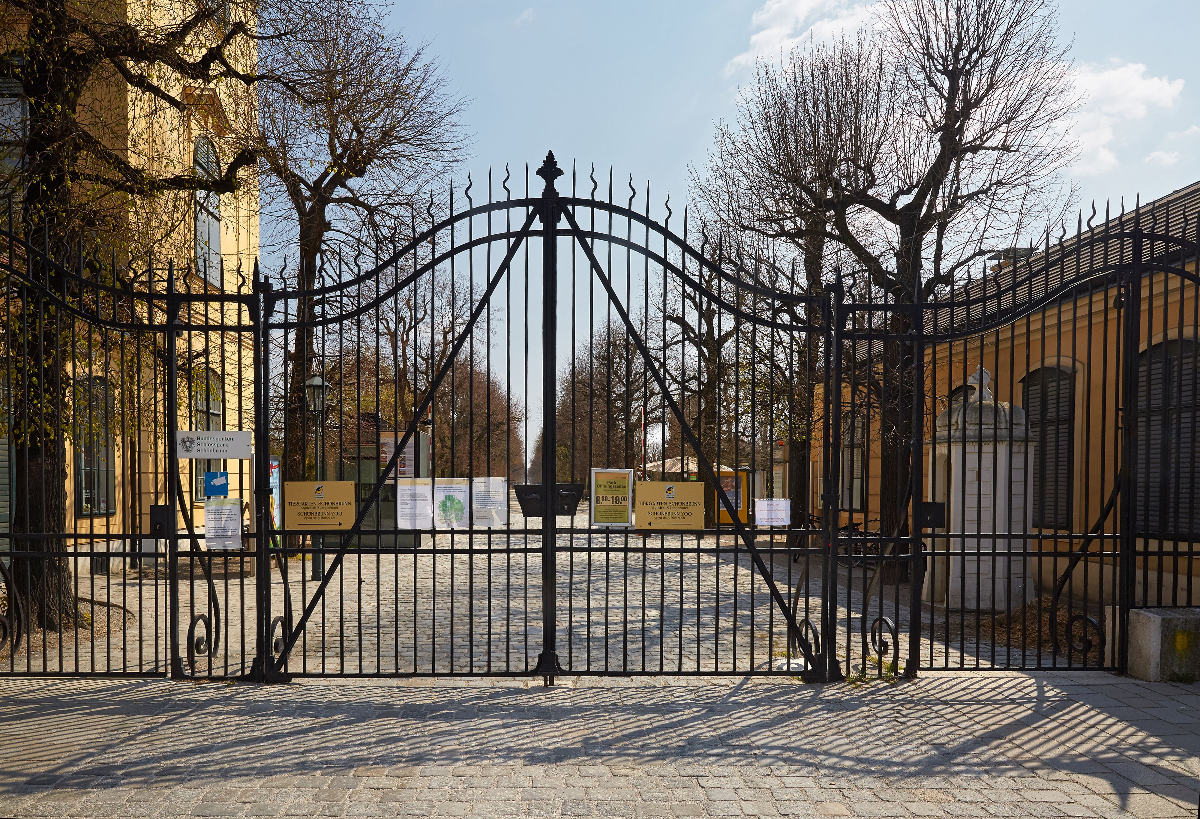 Viele andere Zoos berichten davon, dass die Zootiere die Besucher vermissen. In Schönbrunn ist dies nicht der Fall. 