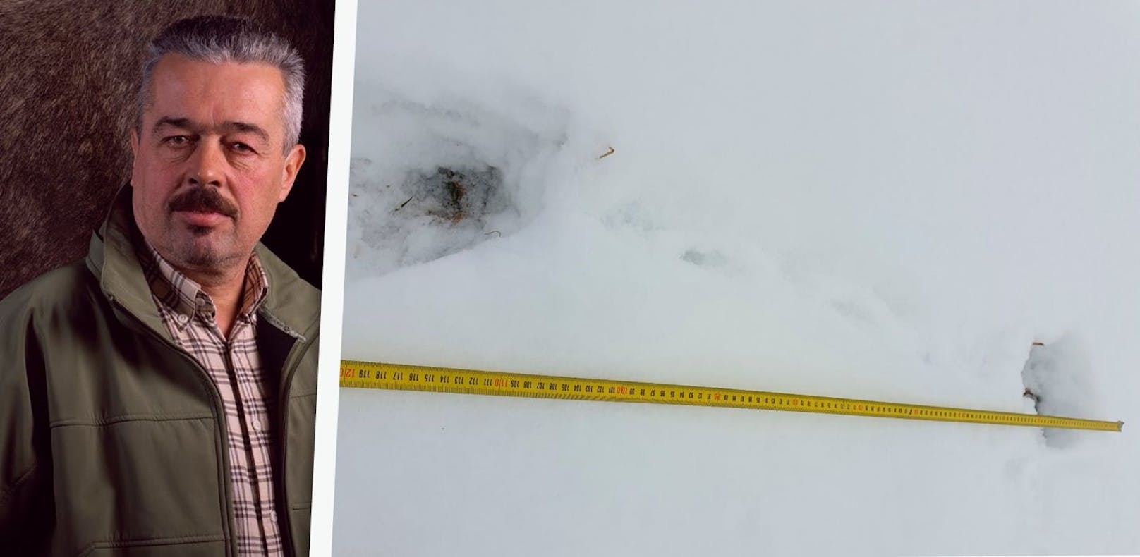Wolfgang Sollberger hat die Elchspuren im Schnee entdeckt