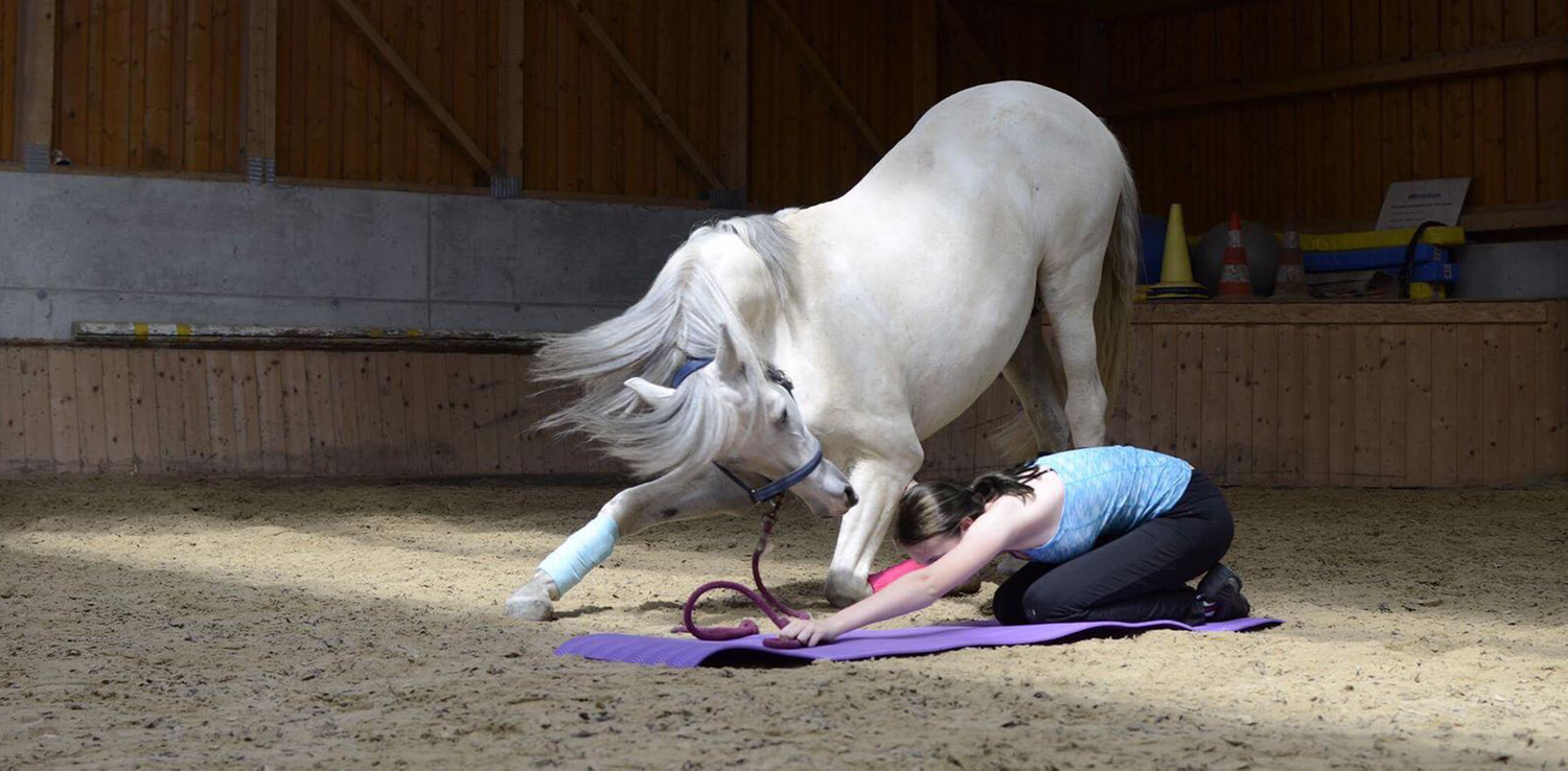 Gegen die Lockdown-Langeweile macht dieser Vierbeiner ein paar Stretching-Übungen