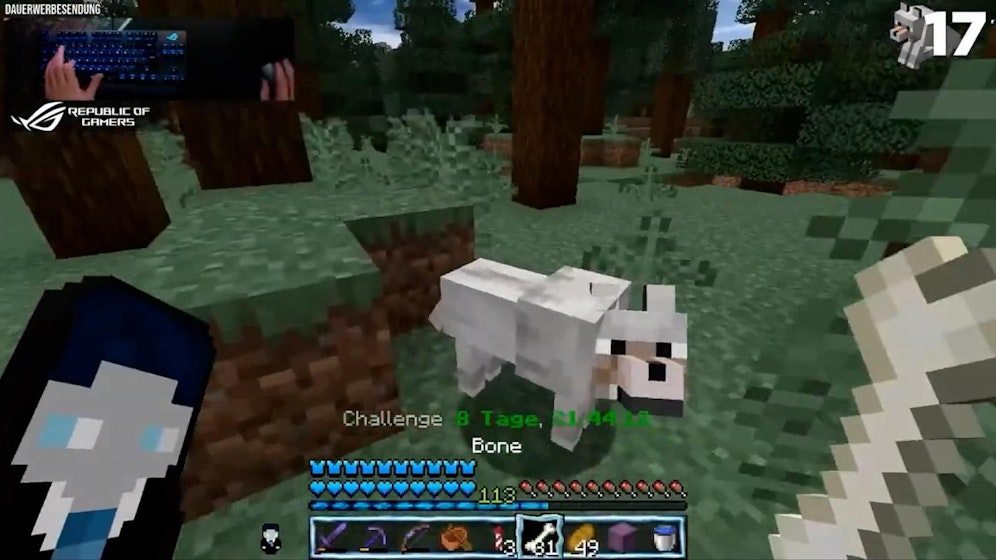 Dauer-Streamer: Solch einen Arbeitseinsatz wünscht sich jeder Arbeitgeber.