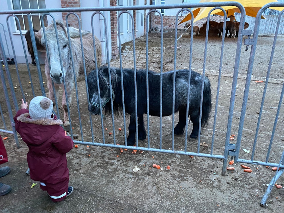 Besucher und vor allem Kinder sind im 10. Wiener Gemeindebezirk beim Zirkus Safari jederzeit herzlich willkommen. 