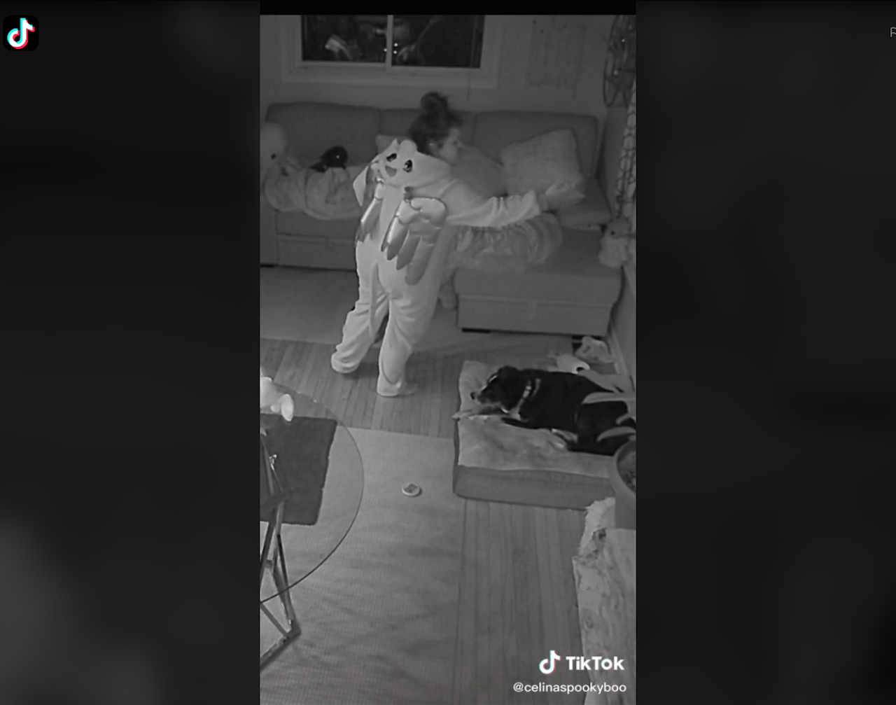 Heute.at - Skurrile Szenen: Frau filmt sich beim Schlafwandeln