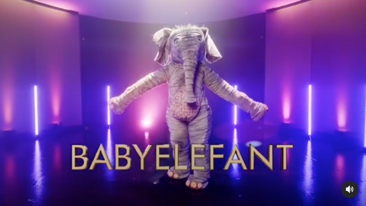 Steckt da vielleicht ein Politiker dahinter? 