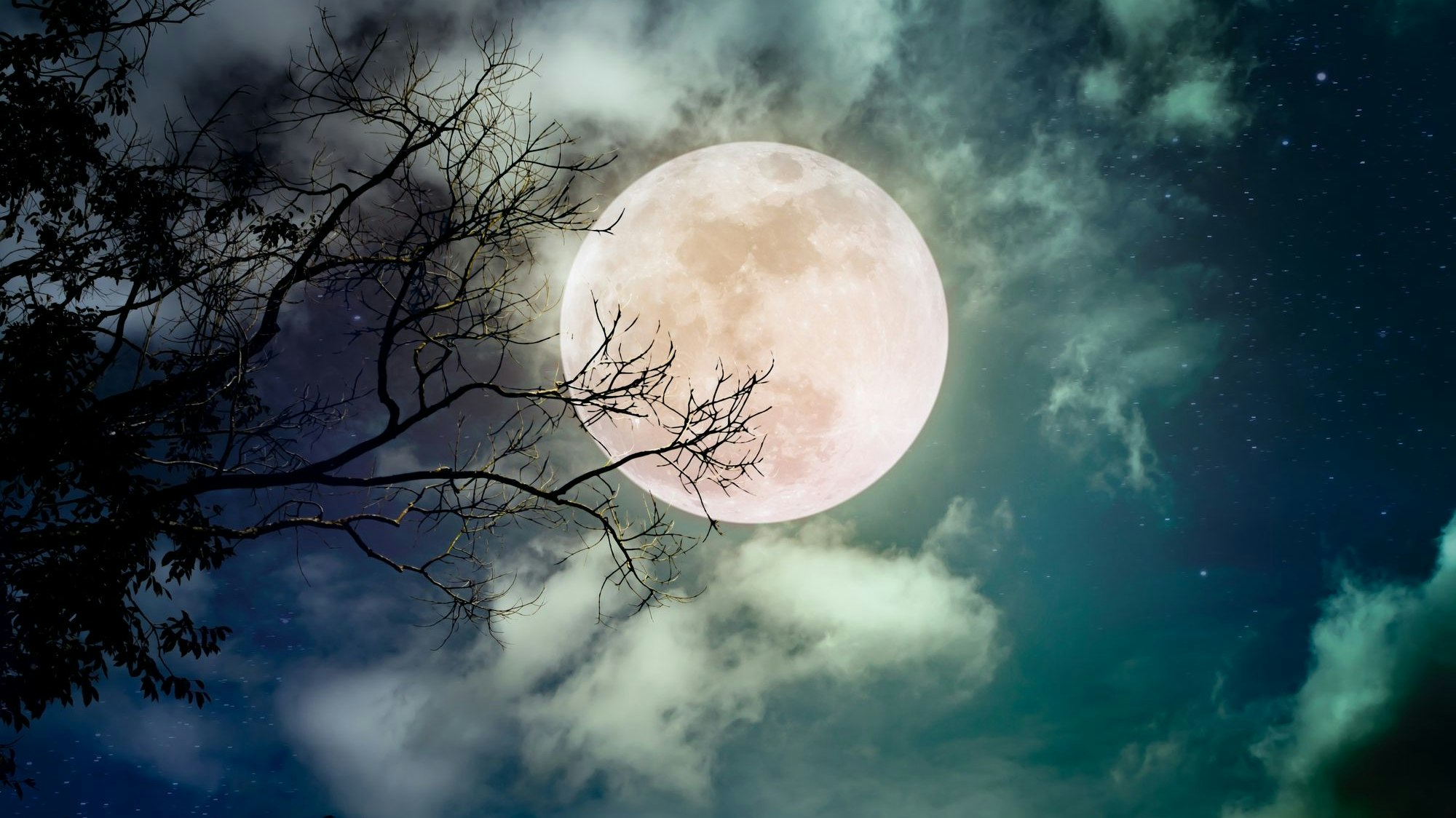 Der sogenannte "Eismond" am 28.01.2021 hält für vier Sternzeichen Überraschungen bereit. 