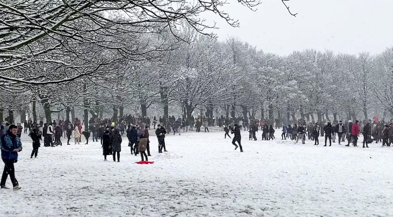 An dieser Schneeballschlacht nahmen Mitte Jänner in Leeds mehrere Hundert Menschen teil.&nbsp;