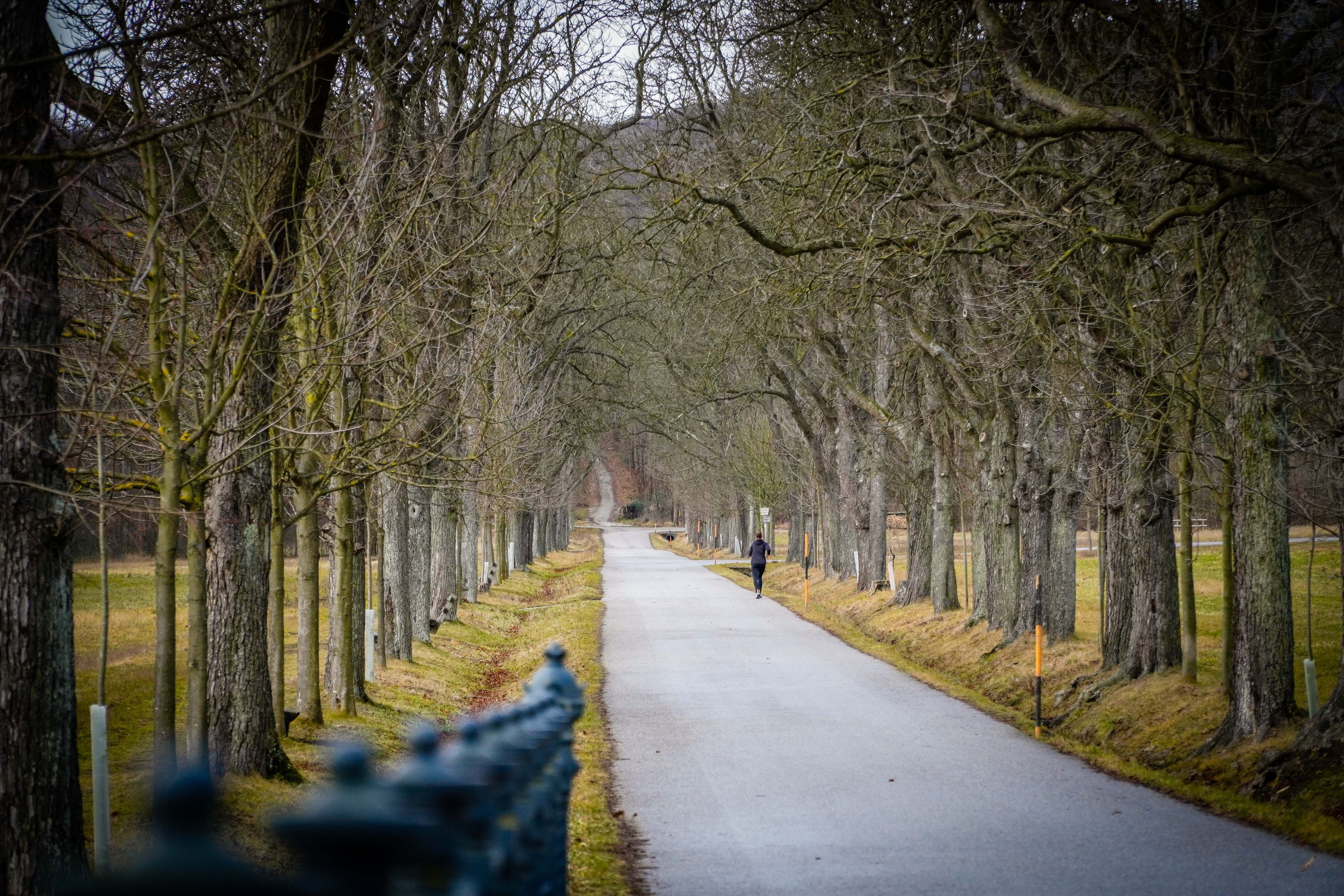 Im Lainzer Tiergarten startet die Saison mit einem umfangreichen Jahresprogramm.