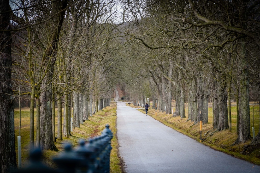 Ab Samstag, den 30. Jänner darf man wieder täglich ab 08 Uhr durch den Lainzer Tiergarten wandern. <br>