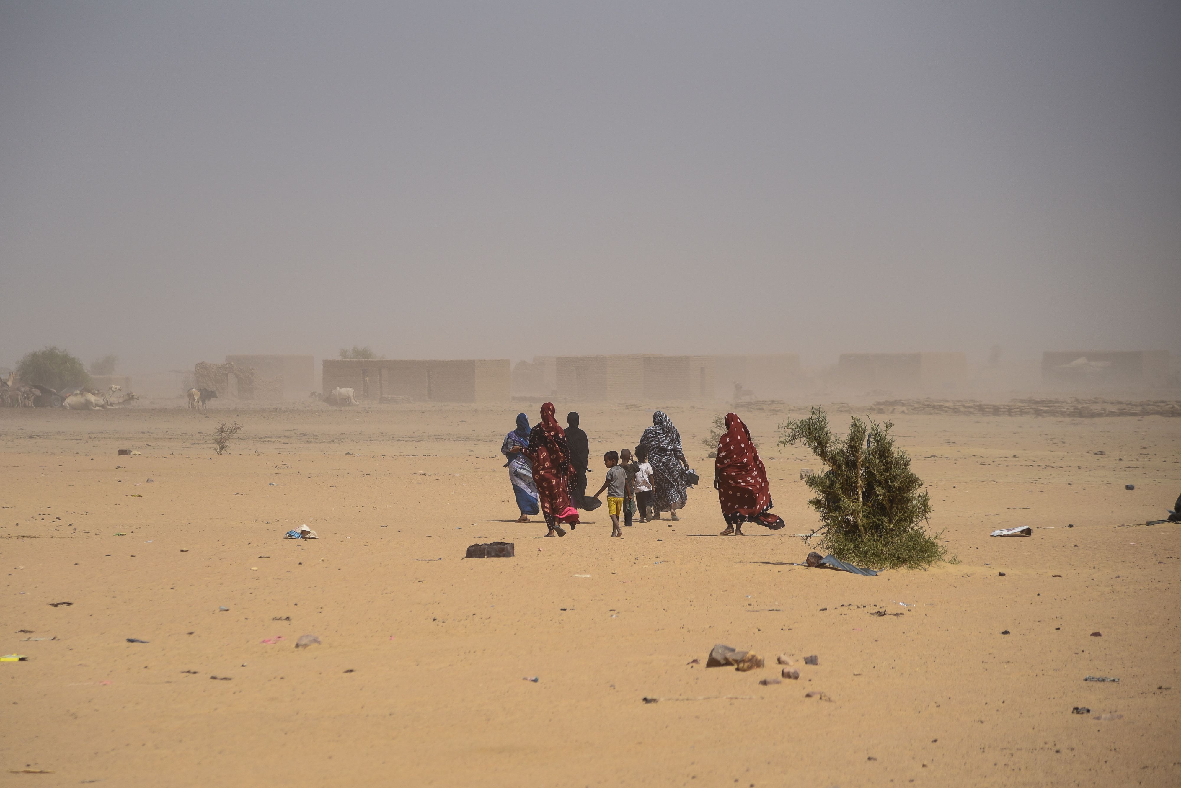 Auch im benachbarten Mali müssen viele Menschen vor Terrorgruppen fliehen
