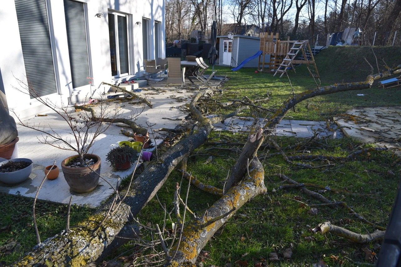 Der Baum lag mitten im Garten, dort wo sonst Kinder spielen.