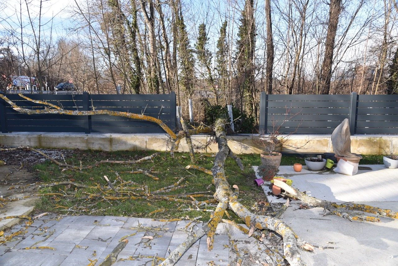 Der Baum krachte in den Garten einer Familie.