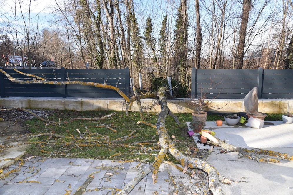 Der Baum krachte in den Garten einer Familie.