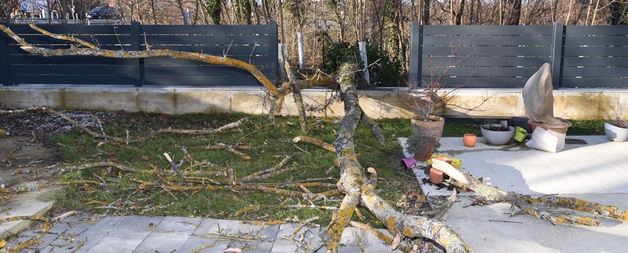Die Feuerwehr Ebreichsdorf musste zu einem Sturmeinsatz ausrücken.