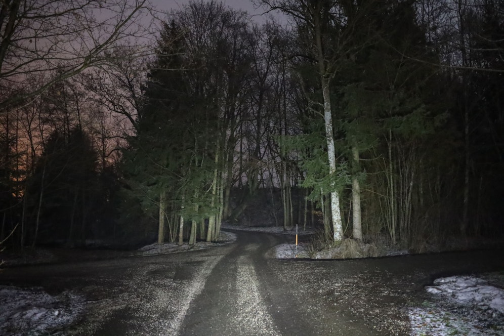 In diesem Wald in St. Marienkirchen wurde die Frau von einem Baum getroffen.
