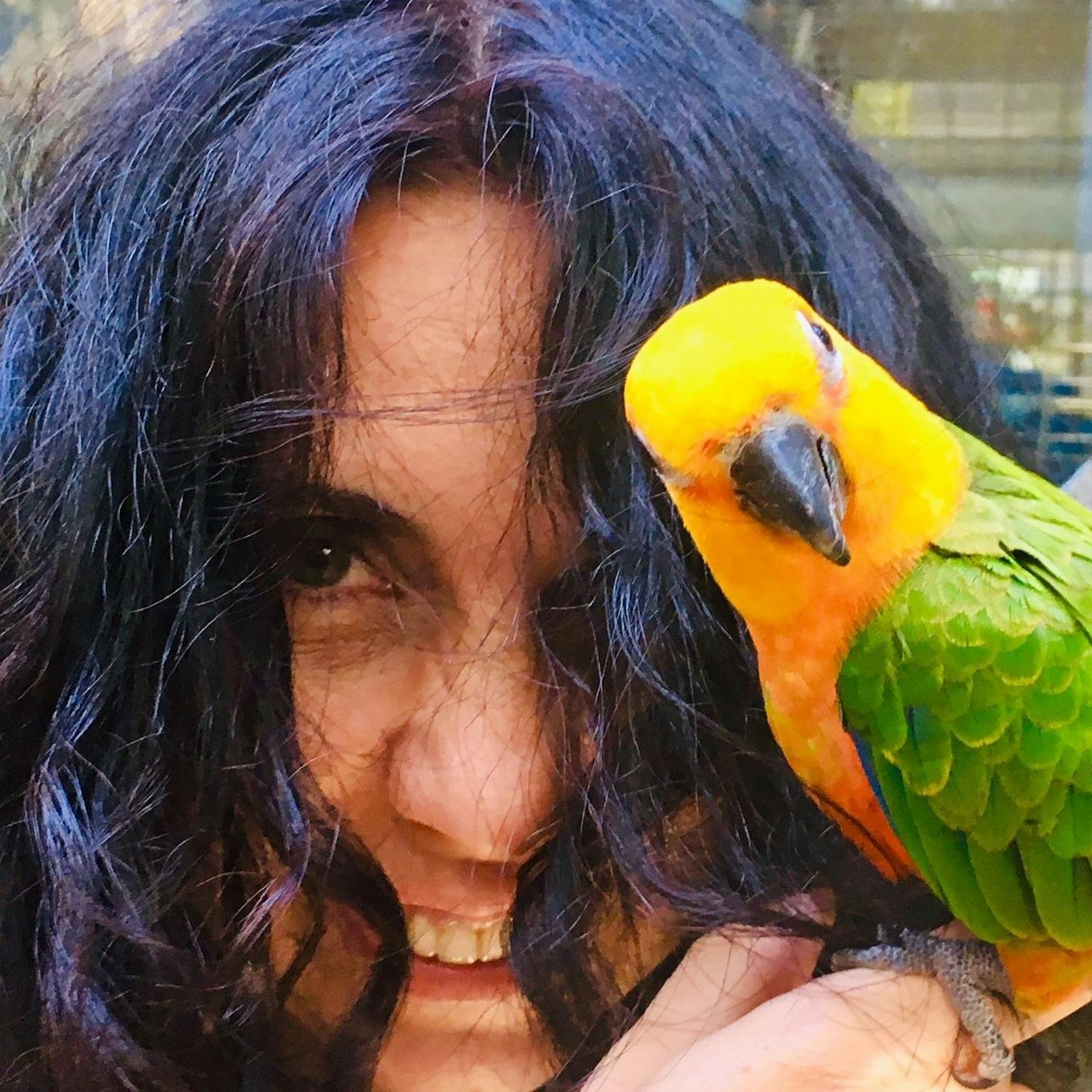 Nadja Ziegler, Präsidentin der ARGE Papageienschutz, sucht für ihre Schützlinge ein Zuhause.