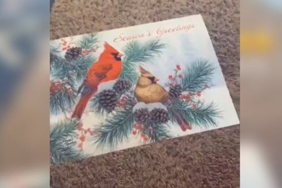 Nur von außen wirkt diese Weihnachtsgrußkarte harmlos.