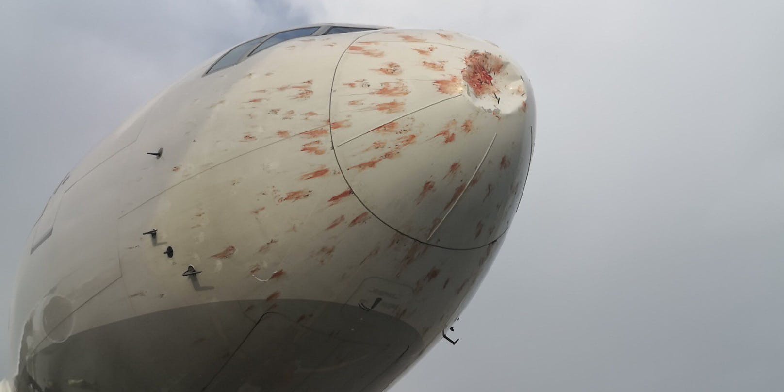 Eine Frachtmaschine von Turkish Airlines ist nach dem Start von Istanbul mit einem Vogelschwarm kollidiert.