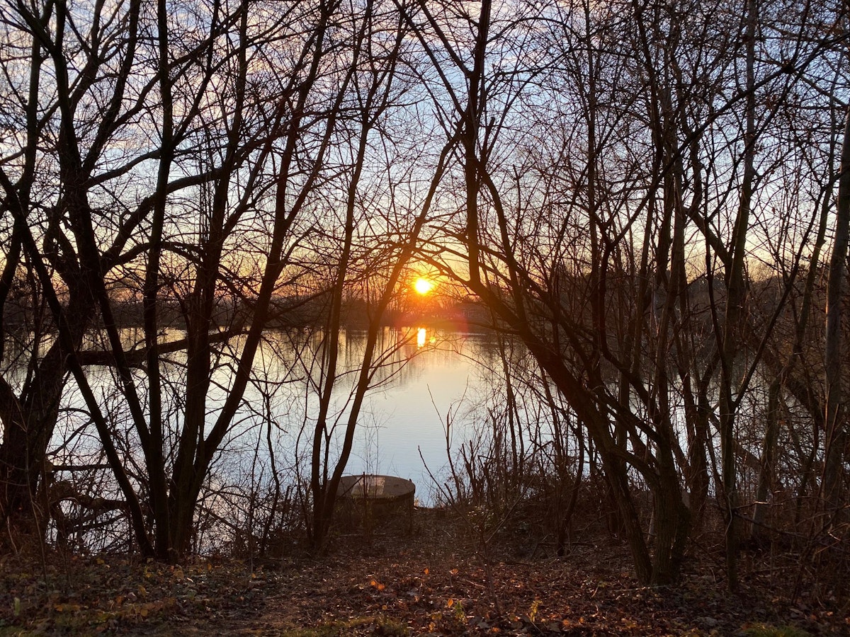 Die letzten Sonnenstrahlen des Jahres 2020: Am 31. Dezember lachte in Wien bisher das letzte Mal die Sonne - und der Kurpark Oberlaa in Wien-Favoriten präsentierte sich von seiner besten Seite.