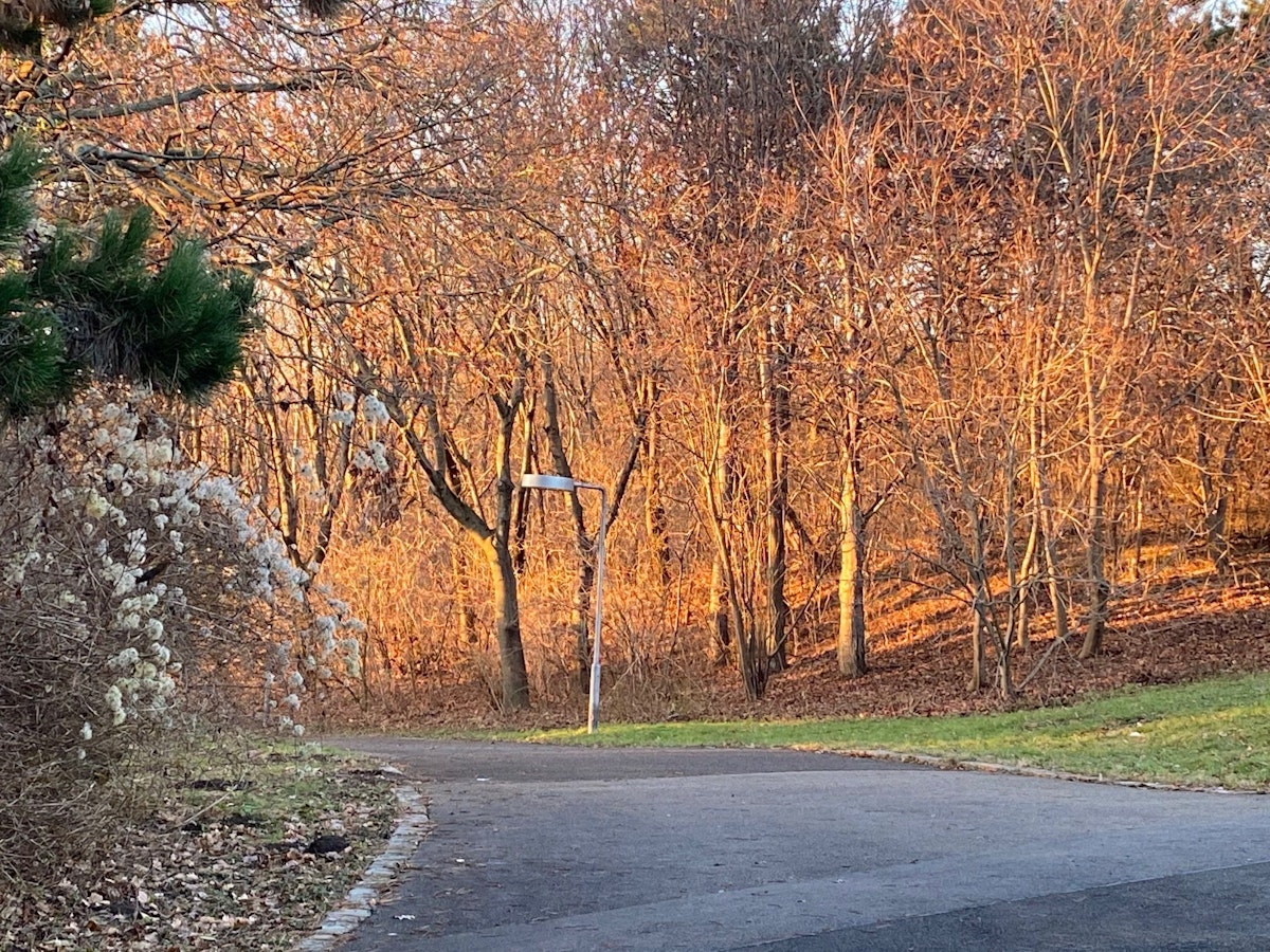 Die letzten Sonnenstrahlen des Jahres 2020: Am 31. Dezember lachte in Wien bisher das letzte Mal die Sonne - und der Kurpark Oberlaa in Wien-Favoriten präsentierte sich von seiner besten Seite.
