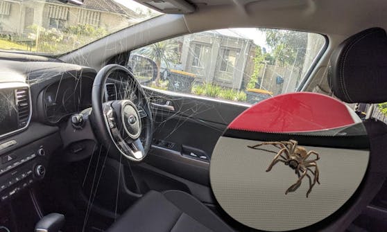 Ein Wunder, dass der Fahrer sich noch auf den Verkehr konzentrieren konnte.