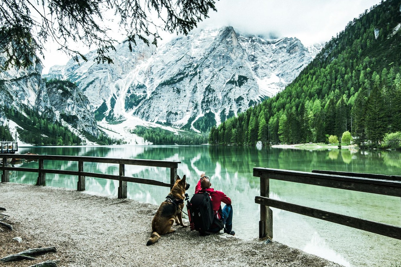 Einfach mal raus! Mit einem Hund an der Seite macht ein Wandertag gleich viel mehr Spaß. 