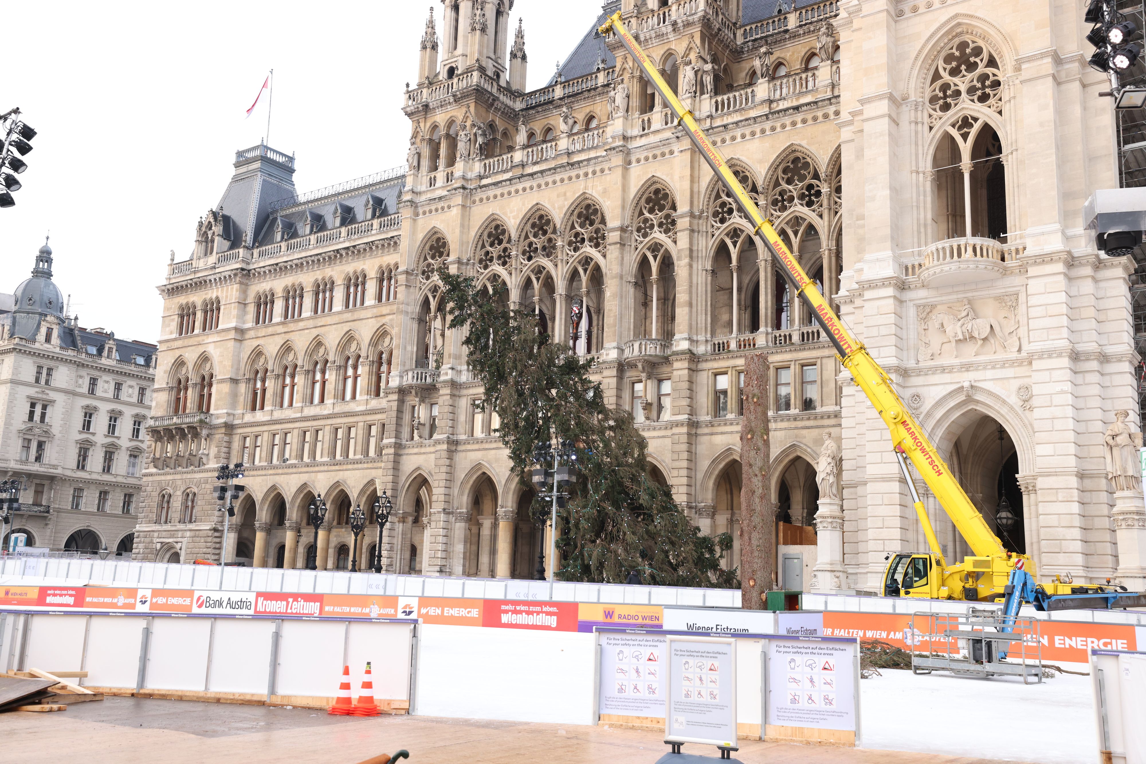 Der Christbaum am Wiener Rathausplatz wurde am Donnerstag mit einem Kran abgebaut.