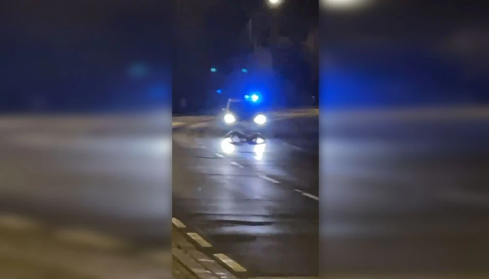 Revierkampf in der Leopoldstadt