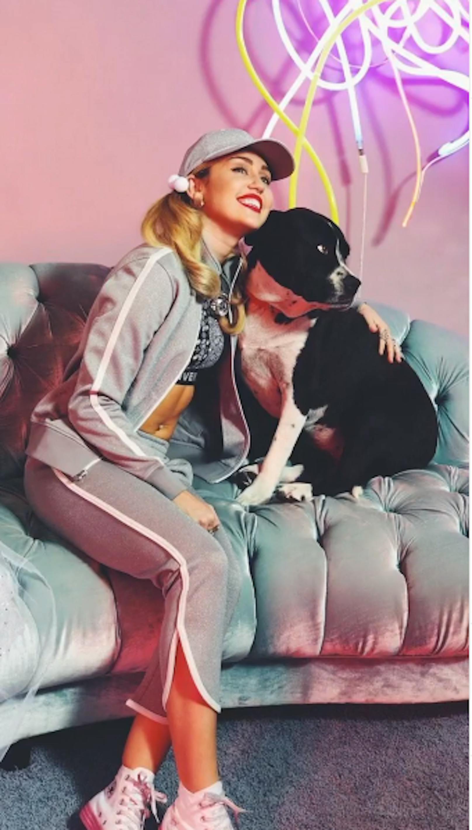Miley Cyrus verabschiedet sich von ihrer Hündin Mary Jane mit einem eigenen Trauersong nach zehn treuen Jahren mit der Pittbull-Mix-Dame.<br>
