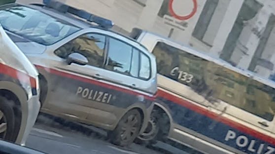 Die Polizei war in Wien-Döbling bei der Kindesabnahme vor Ort.