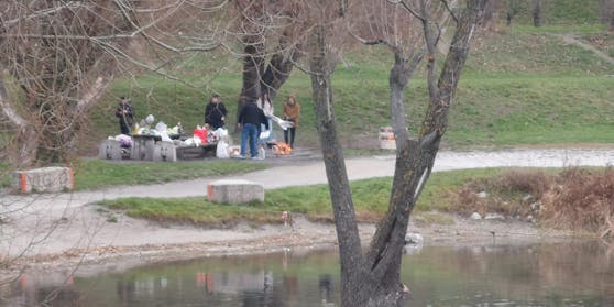 Grillparty auf der Wiener Donauinsel