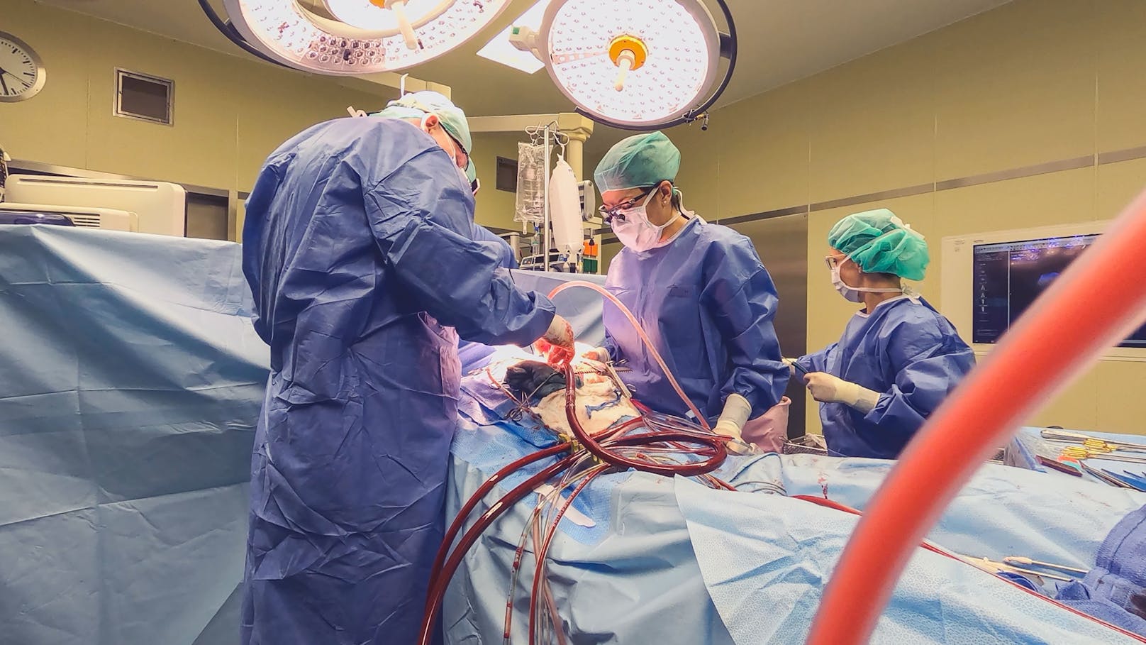Die Dokumentation "Die Herz-OP" ermöglicht faszinierende Einblicke in eine Welt, die man als Nicht-Mediziner so niemals zu sehen bekommen würde.