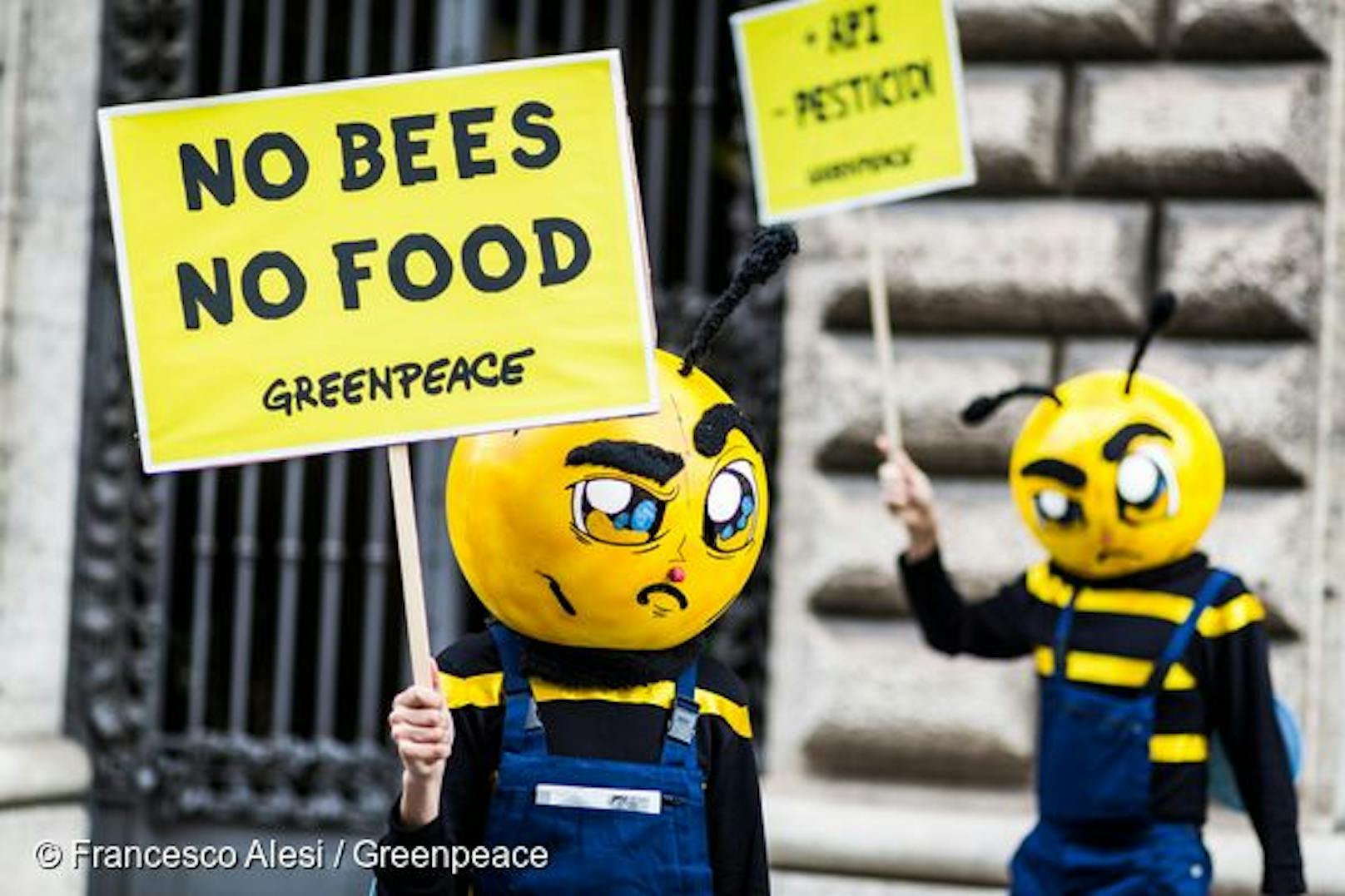 Umweltschützer fordern ein Neonicotinoide-Verbot. Das Pflanzenschutzmittel töte nämlich Bienen und Hummeln. Das Gift lasse auch den Fischbestand dramatisch schrumpfen.