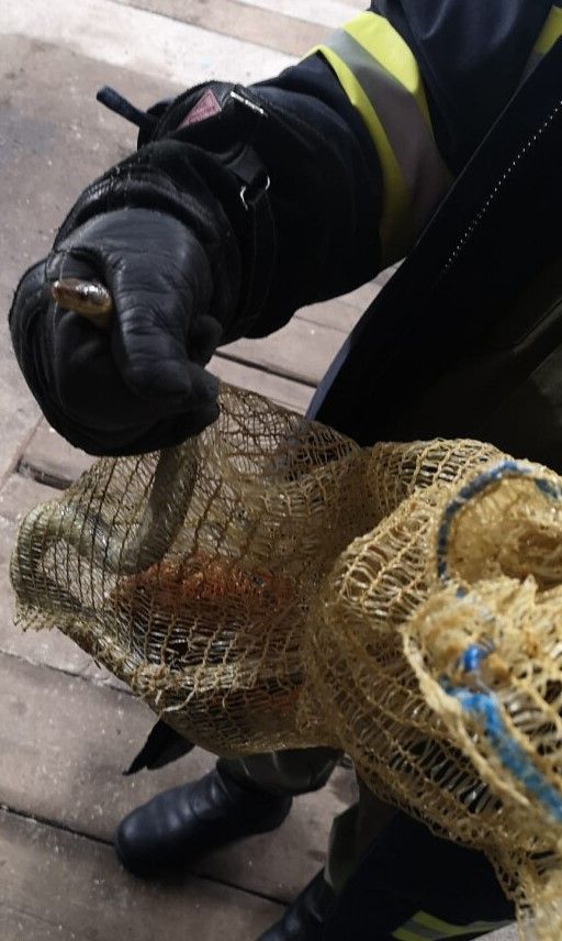 Den Mitgliedern der Feuerwehr Gansbach-Kicking gelang es die Schlange zu fangen.
