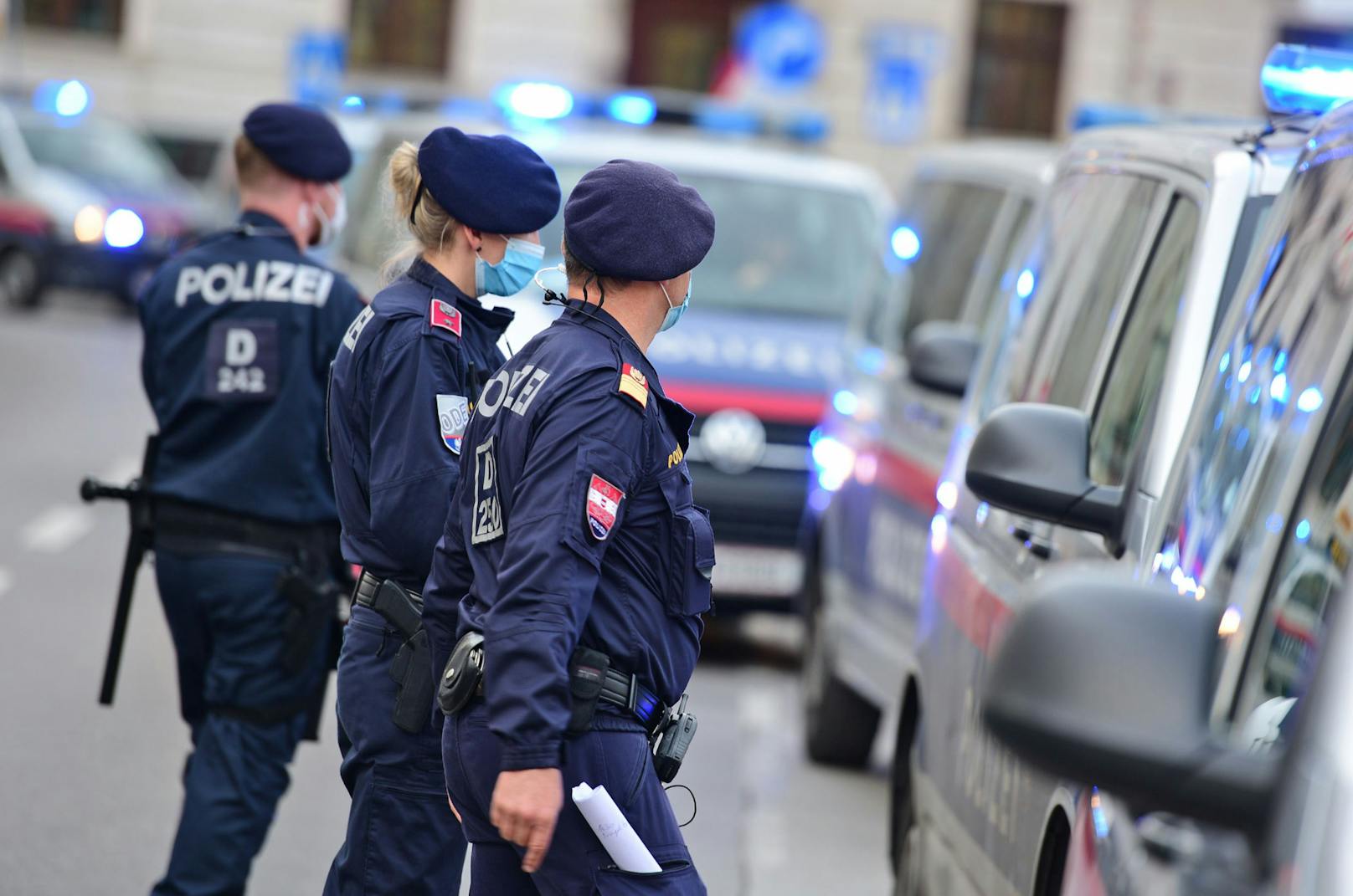 Polizei legt Einbrecher-Bande in der Steiermark Handwerk